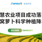 智易時代智慧農(nóng)業(yè)項目成功落地，助力沙窩蘿卜科學(xué)種植降本增效！